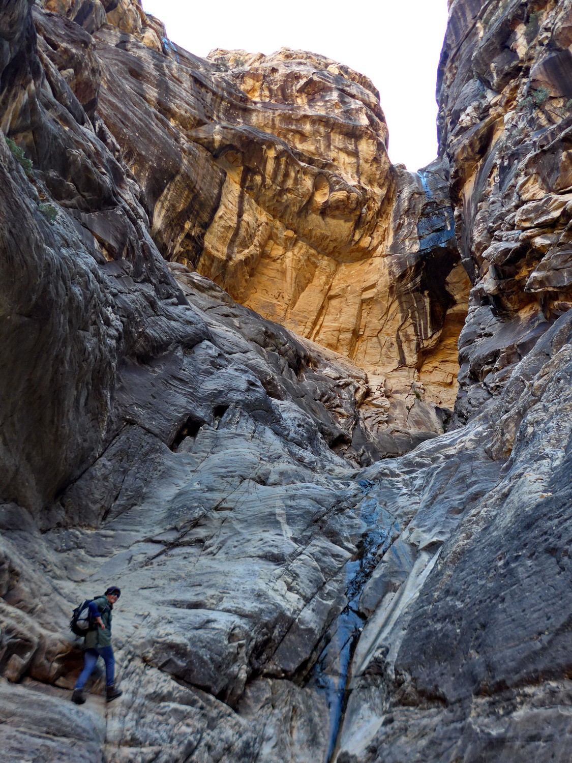 End of the trail into the Ice Box Canyon of the Rad Rock Canyon